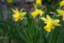 Bild_269.jpg