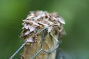 september_2010_399.JPG
