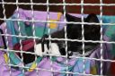 tierheim_kappeln_und_juli2009_043.JPG